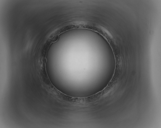 X0000112181016200908141321