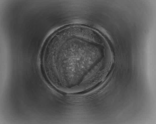 X0000112181024200908141321