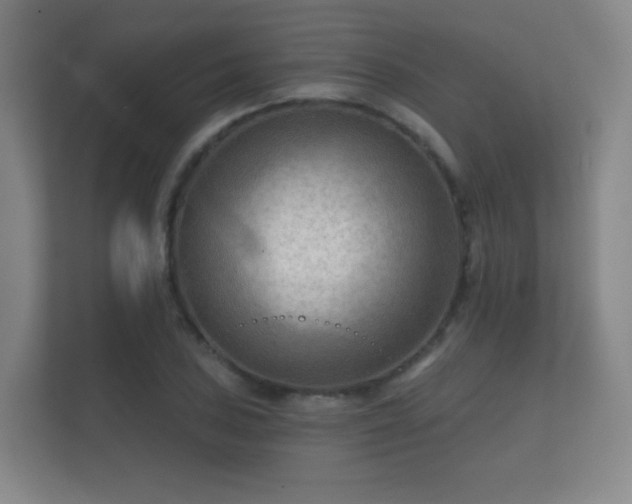 X0000112181027200908141321