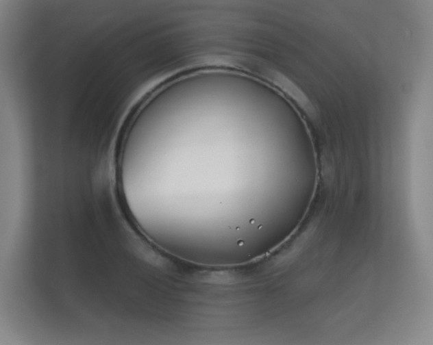 X0000112181028200908141321