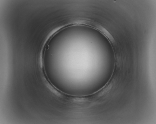 X0000112181036200908141321