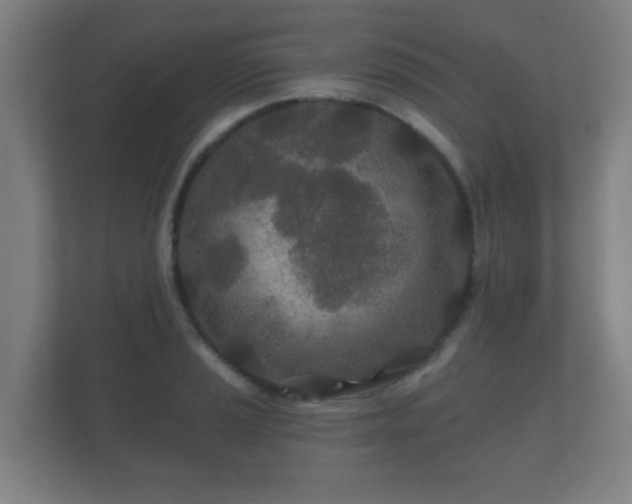 X0000112181037200908141322