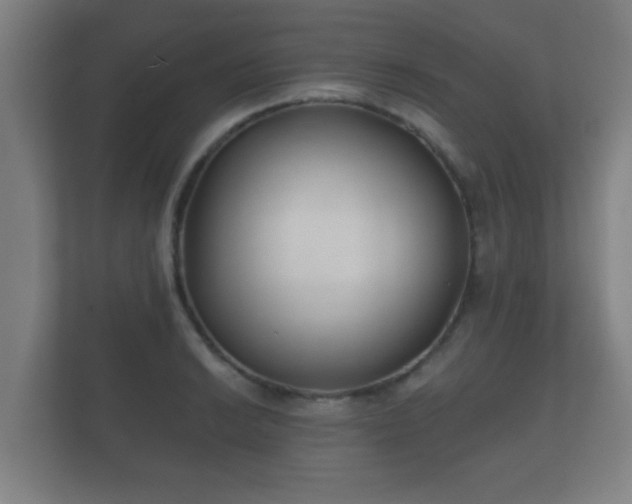 X0000112181038200908141322