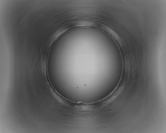 X0000112181041200908141322