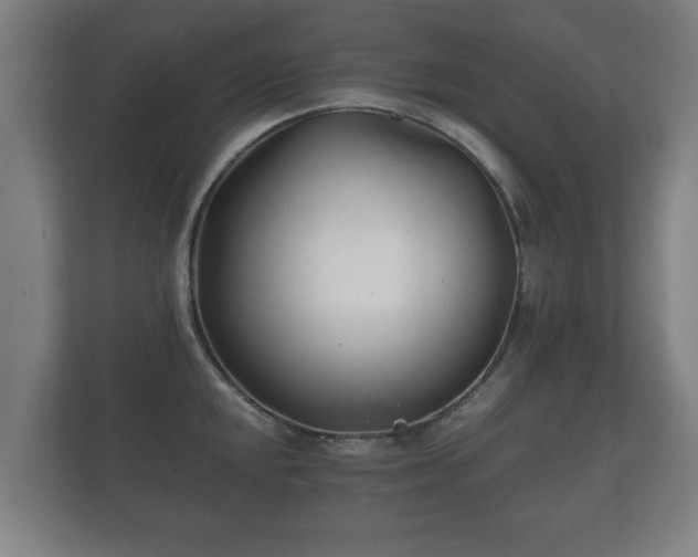 X0000112181048200908141322