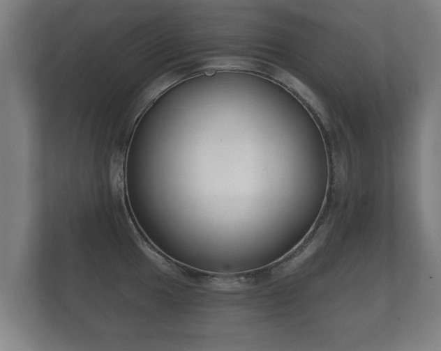 X0000112181049200908141322