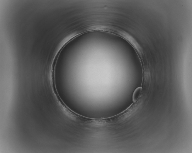 X0000112181050200908141322