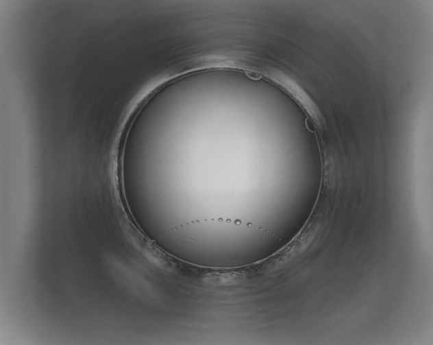 X0000112181051200908141322