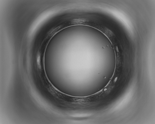 X0000112181054200908141322