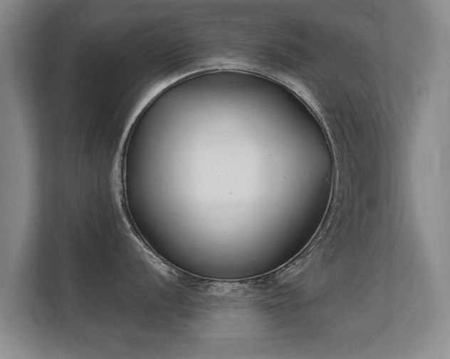 X0000112181056200908141322