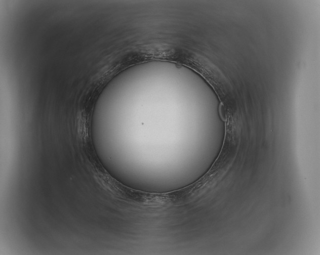 X0000112181058200908141321