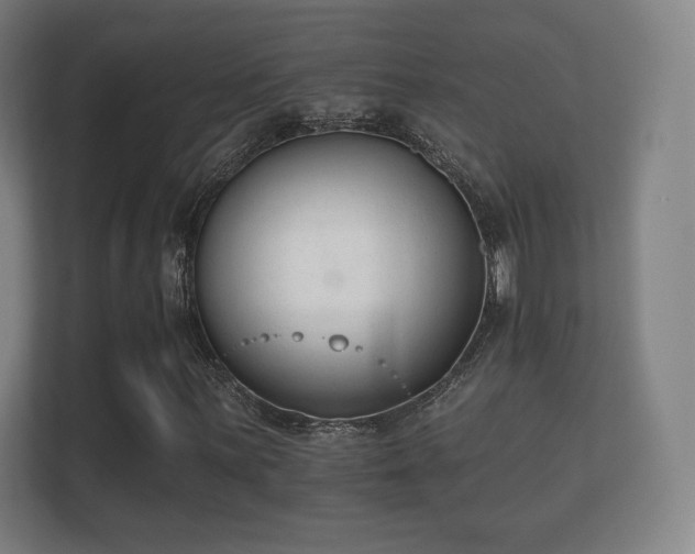 X0000112181059200908141321