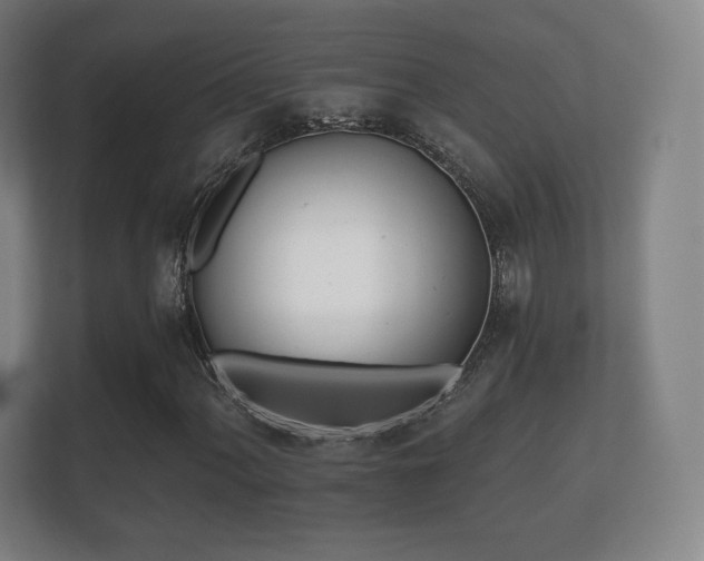 X0000112181060200908141321