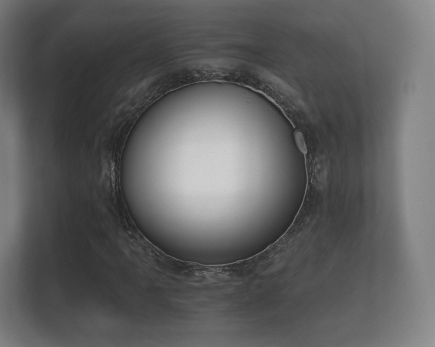 X0000112181061200908141321