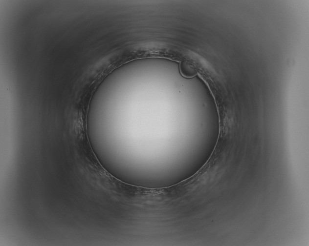 X0000112181062200908141321