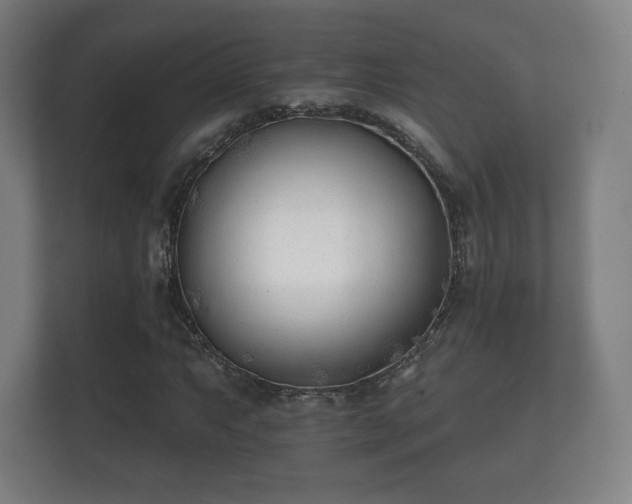 X0000112181063200908141321