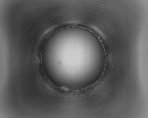 X0000112181064200908141321