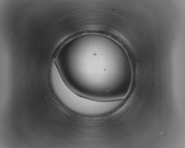 X0000112181065200908141321