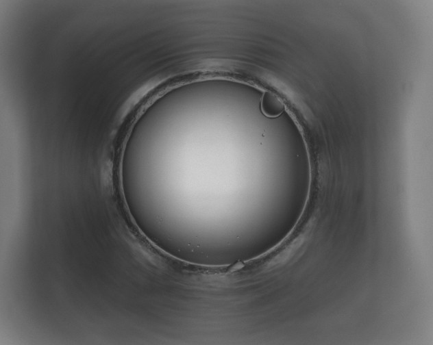 X0000112181066200908141321