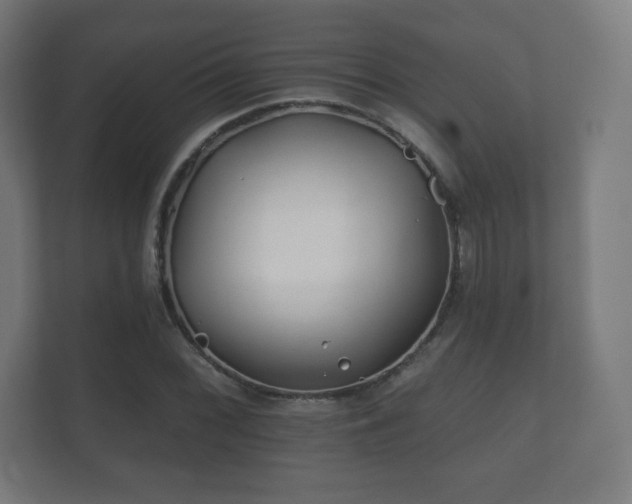 X0000112181068200908141321