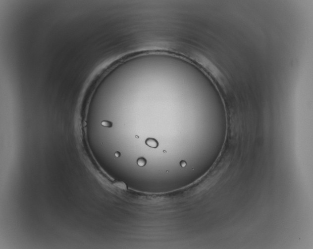 X0000112181072200908141321