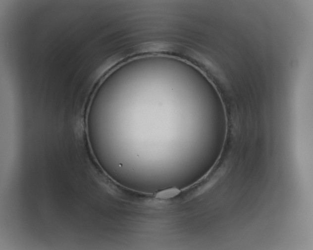 X0000112181073200908141321