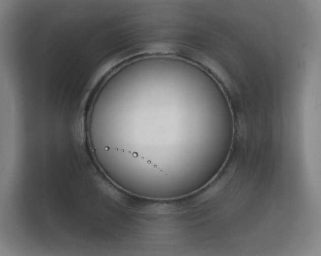 X0000112181075200908141321