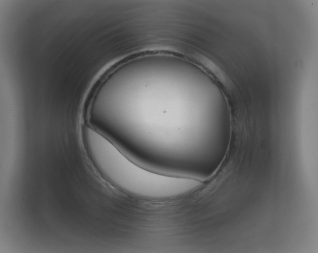 X0000112181076200908141321