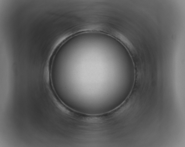 X0000112181079200908141321