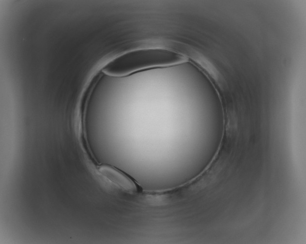 X0000112181080200908141321