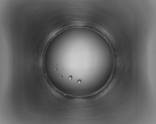 X0000112181081200908141321