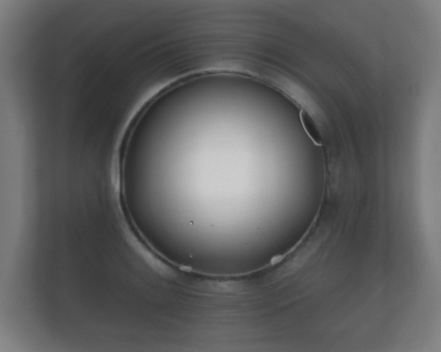 X0000112181084200908141321