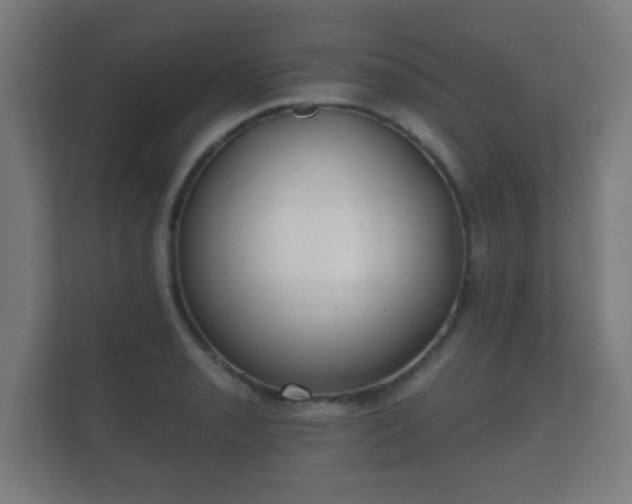 X0000112181085200908141321