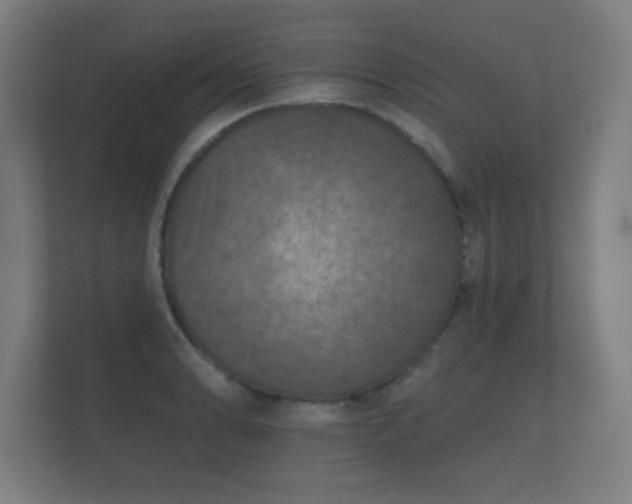 X0000112181086200908141321