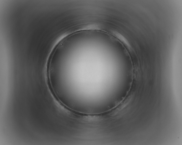 X0000112181087200908141321