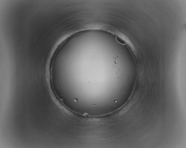 X0000112181088200908141321