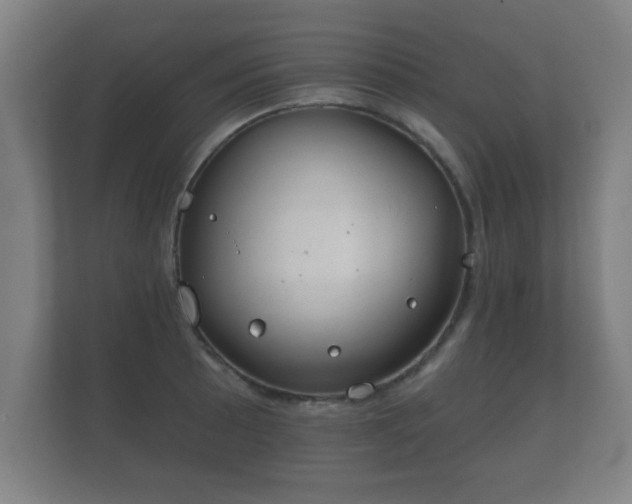 X0000112181089200908141321