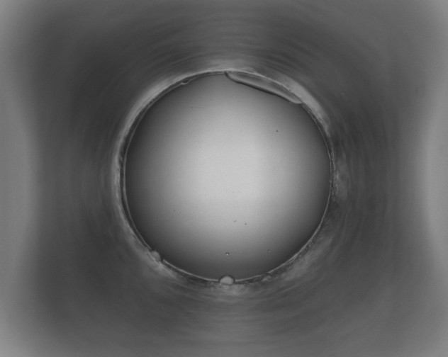 X0000112181096200908141321