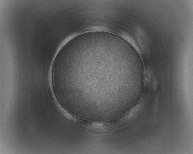 X0000112181098200908141321