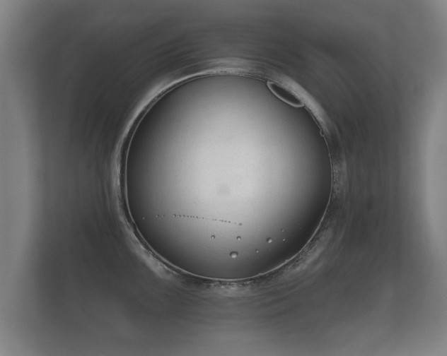 X0000112181099200908141321