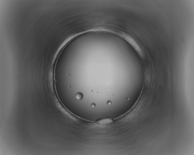 X0000112181100200908141321