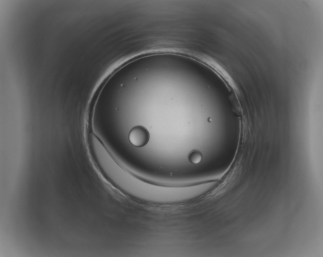 X0000112181101200908141321