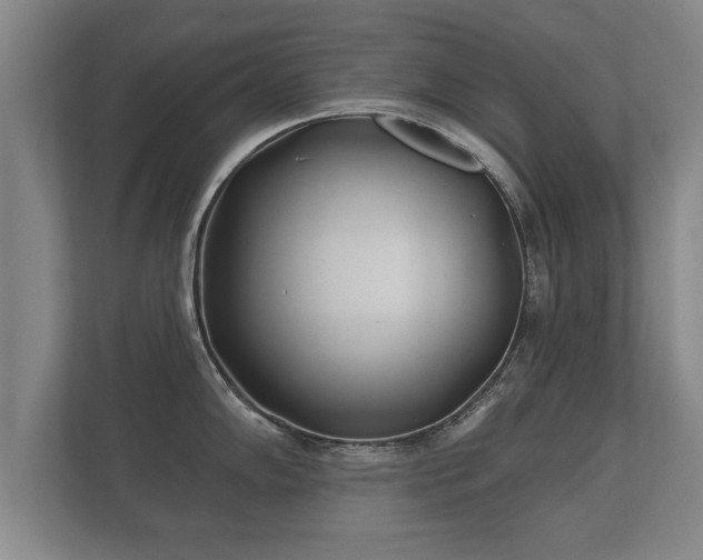 X0000112181102200908141321