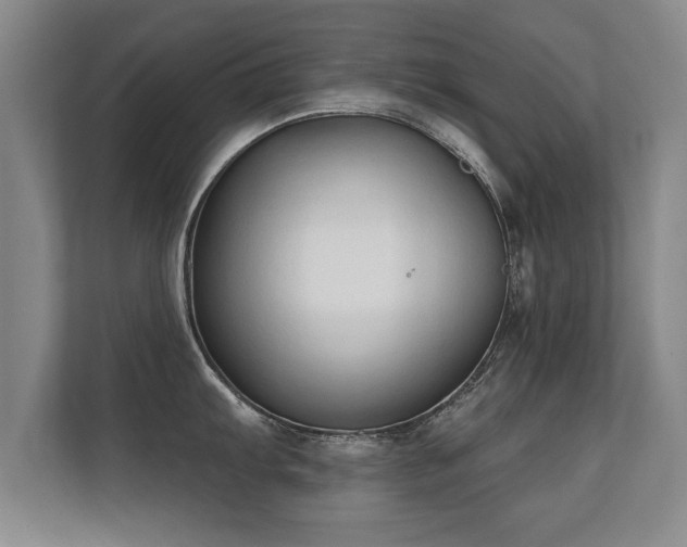 X0000112181103200908141321