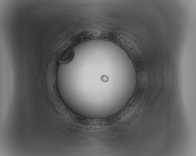 X0000112181105200908141320