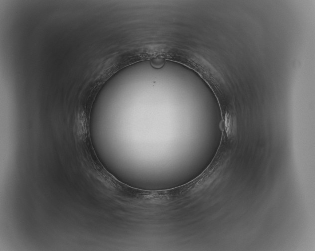 X0000112181107200908141320