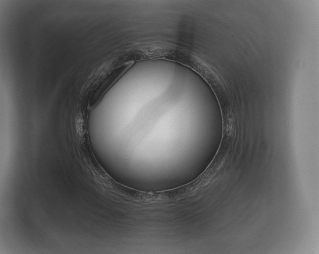 X0000112181108200908141320