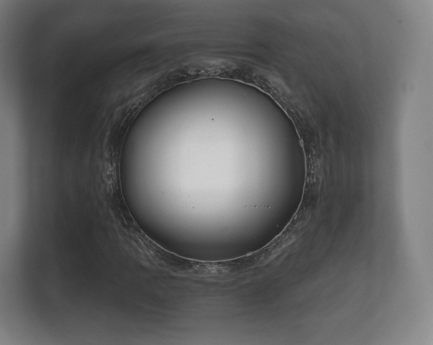 X0000112181109200908141320