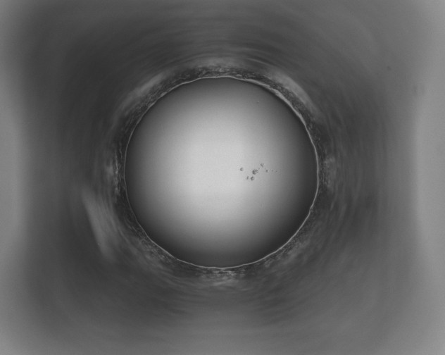 X0000112181111200908141320