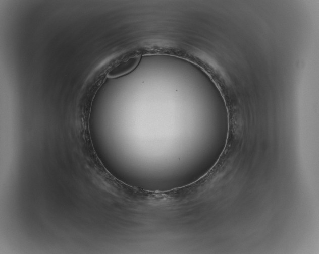 X0000112181112200908141320